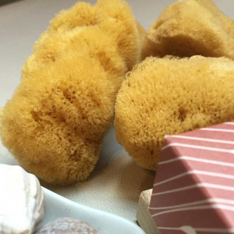 FRIMOUSSE