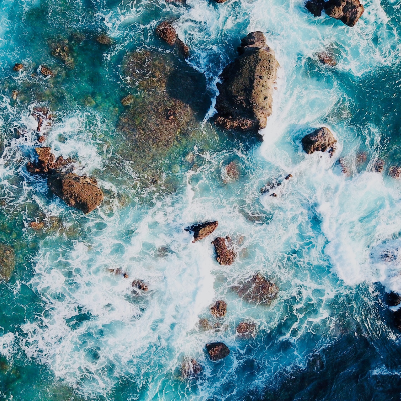 PLONGÉE ATLANTIQUE RESSOURÇANTE